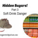 Hidden Sugars! Part 3 – Soft Drink Danger  TSSP020