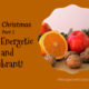 Enjoy Christmas, Part 1 – Stay Energetic and Vibrant! TSSP026