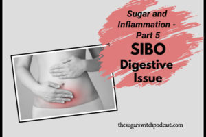 Sugar and Inflammation, Part 5 – SIBO Digestive Issue, R Remesat TSSP067
