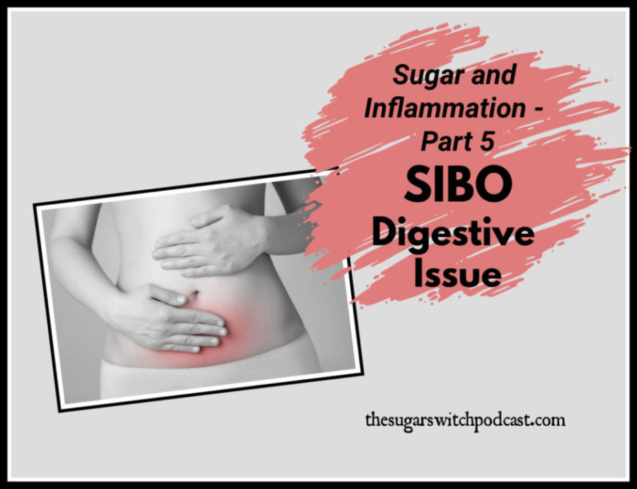 Sugar and Inflammation, Part 5 – SIBO Digestive Issue, R Remesat TSSP067