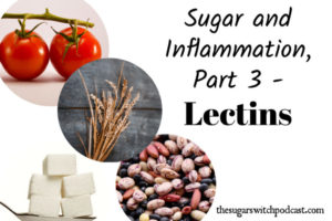 Sugar and Inflammation, Part 3 – Lectins TSSP065