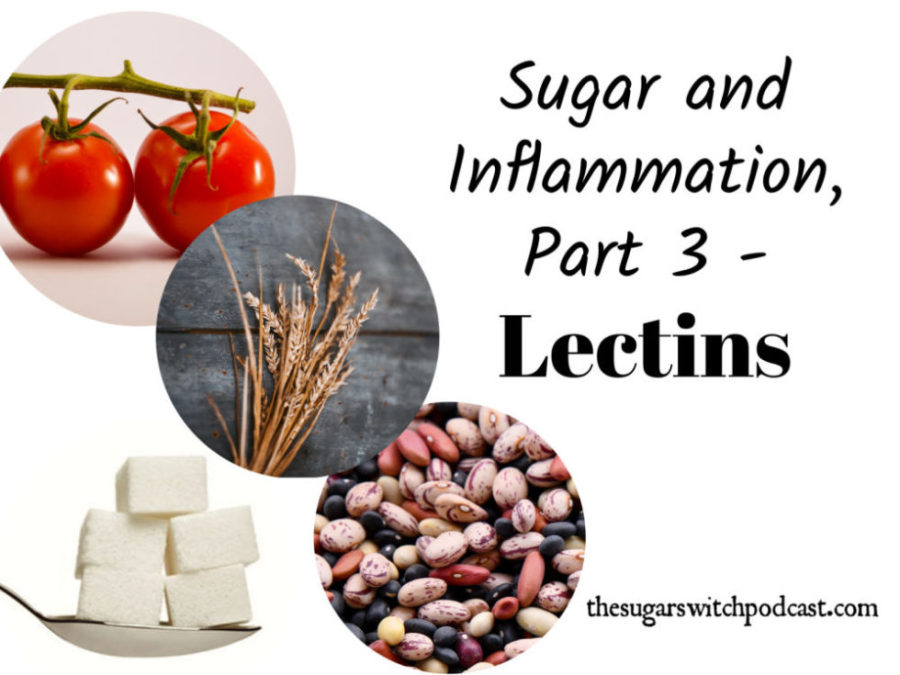 Sugar and Inflammation, Part 3 – Lectins TSSP065