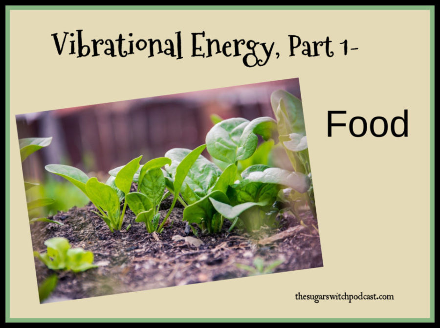 Vibrational Energy, Part 1 – Food TSSP099