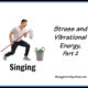 Stress and Vibrational Energy, Part 2 – Singing, B Graff  TSSP104
