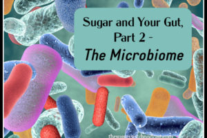 Sugar and Your Gut, Part 2 – The Microbiome TSSP128
