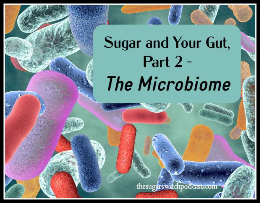 Sugar and Your Gut, Part 2 – The Microbiome TSSP128