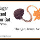 Sugar and Your Gut, Part 4 – The Gut-Brain Axis TSSP130