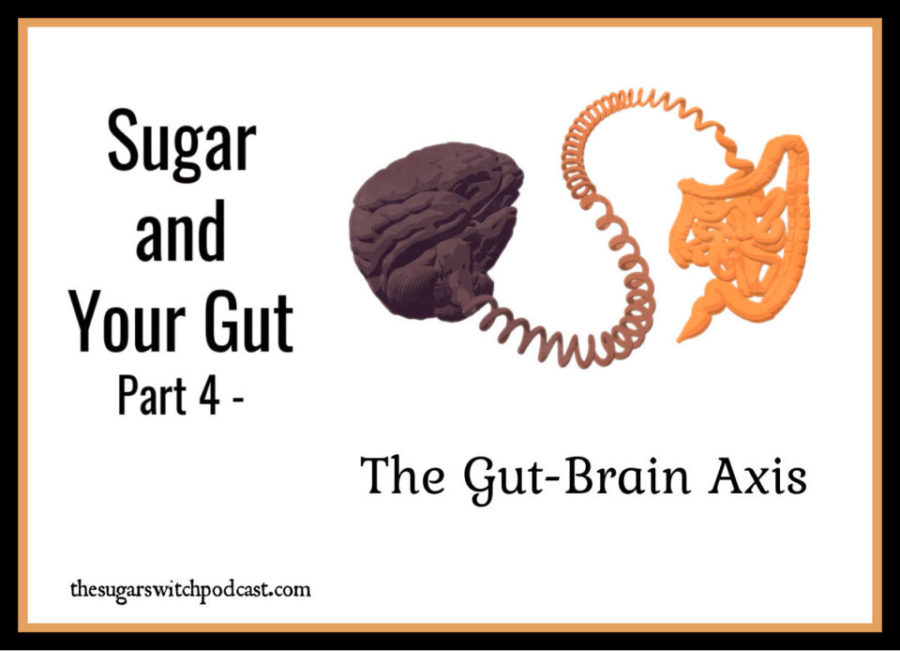Sugar and Your Gut, Part 4 – The Gut-Brain Axis TSSP130
