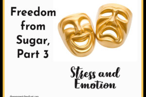 Freedom From Sugar, Part 3 – Stress and Emotion TSSP151
