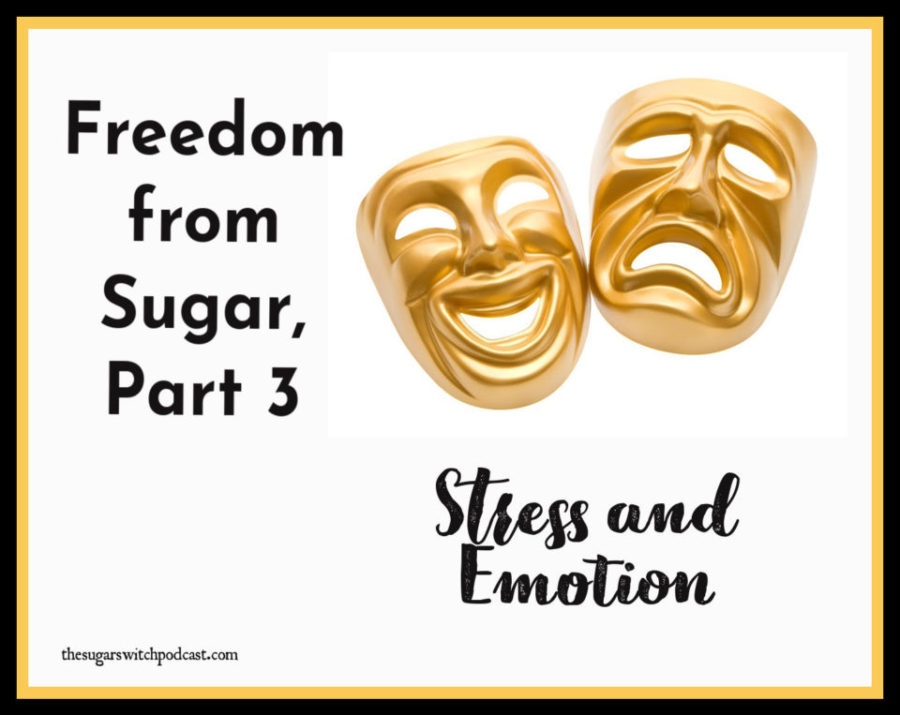 Freedom From Sugar, Part 3 – Stress and Emotion TSSP151