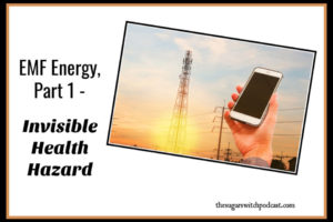 EMF Energy, Part 1 – Invisible Health Hazard TSSP178