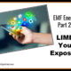 EMF Energy, Part 2 – Limit Your Exposure TSSP179